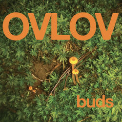 Baby Shea Bass Tab by Ovlov