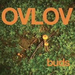 Moron Pt 2 Bass Tab by Ovlov