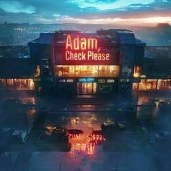 Adam, Check Please by Owl City