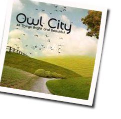 Hospital Flowers Solo tabs by Owl City