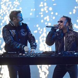 Vocation Chords by Ozuna