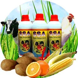 Elok Ukulele Chords by Padi