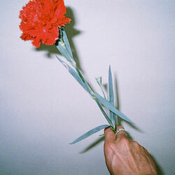 Reminders Chords by Paige Chaplin