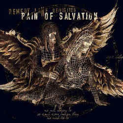 This Heart Of Mine I Pledge by Pain Of Salvation