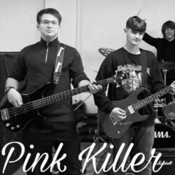 The Fool Chords by Painkillers