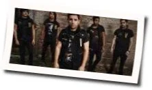 The Arctic Chords by Palisades