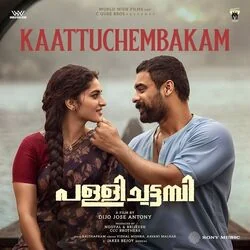 Kaattuchembakam Chords by Pallichattambi