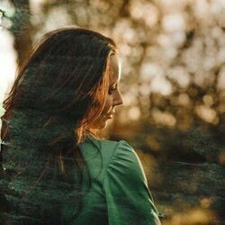 Only The Old Songs Chords by Nerina Pallot
