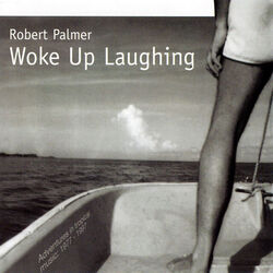 Woke Up Laughing Chords by Robert Palmer
