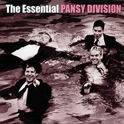Horny In The Morning Chords by Pansy Division