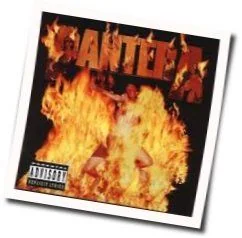 Well Grind That Axe For A Long Time Tab by Pantera