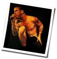 Live In A Hole Tabs by Pantera