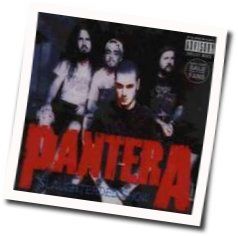 Slaughtered Chords by Pantera