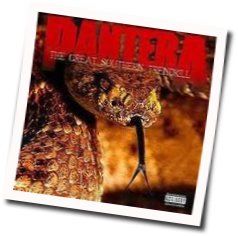 The Great Southern Trendkill  Tabs by Pantera