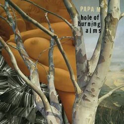 Napoleon Bass Tab by Papa M