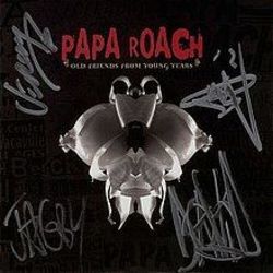 Liquid Diet by Papa Roach