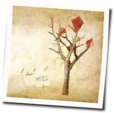 Leopold Street Chords by The Paper Kites