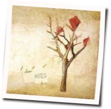Leopold Street Chords by The Paper Kites