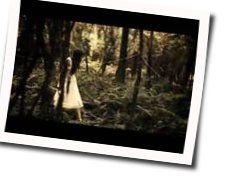 Malleable Beings Chords by The Paper Kites