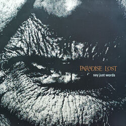 Say Just Words by Paradise Lost