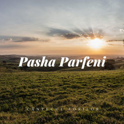 Cantecul Zorilor Chords by Pasha Parfeni