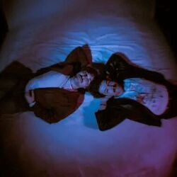 Cut From A Ceiling Fan Bass Tab by Passion Mango