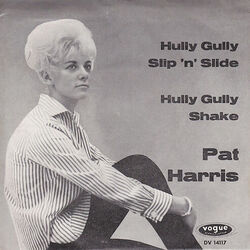 Hully Gully Shake Chords by Pat Harris