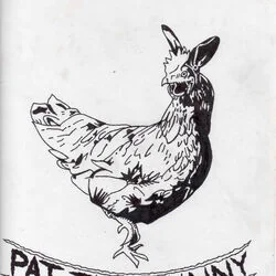 Song For The Stray Cat On The Fence Chords by Pat The Bunny