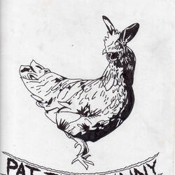 Song For The Stray Cat On The Fence Chords by Pat The Bunny