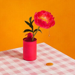 Honey Min Chords by Patina (Denmark)