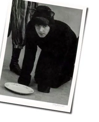 Looking At Her Bass Tab by Paul McCartney