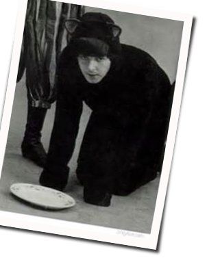 Looking At Her Bass Tab by Paul McCartney