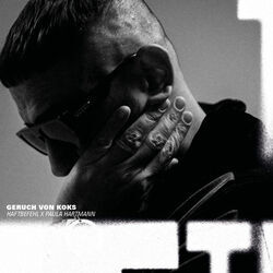 Geruch Von Koks Chords by Paula Hartmann