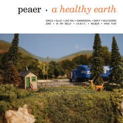 Commercial Chords by Peaer