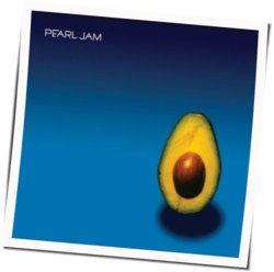 Army Reserve Chords by Pearl Jam