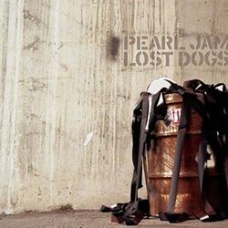 Brother Tab by Pearl Jam