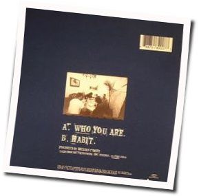 Who You Are Bass Tab by Pearl Jam