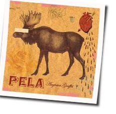 Song Writes Itself Chords by Pela