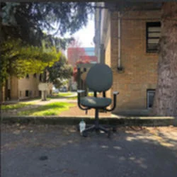 Elongated Muskrat Ukulele Chords by Penelope Scott