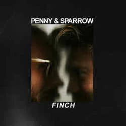 Recuerda Chords by Penny And Sparrow