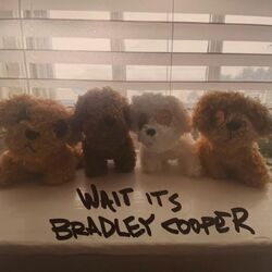 Wait It's Bradley Cooper Tab by Pennydog