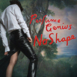 Valley Chords by Perfume Genius