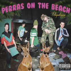 Puchos Bass tabs by Perras On The Beach