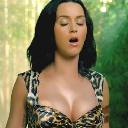 Roar  by Katy Perry