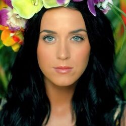 Roar  Chords by Katy Perry
