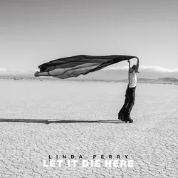 Stupid Yellow Kite Chords by Linda Perry