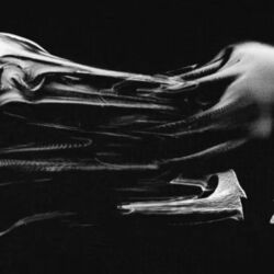 Dopamina by Peso Pluma