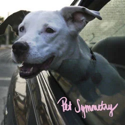 A Detailed And Poetic Physical Threat Bass Tab by Pet Symmetry