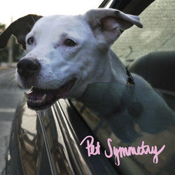 A Detailed And Poetic Physical Threat Bass Tab by Pet Symmetry