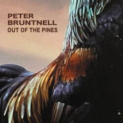 Out Of The Pines Chords by Peter Bruntnell
